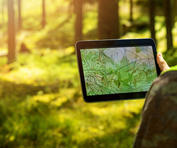 Behöver Jag En Digital Skogsbruksplan